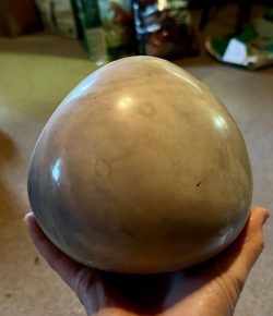 Rock and Roll: What You Need to Know About Enteroliths