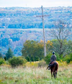Thoroughbred Logic, Presented by Kentucky Performance Products: Spooky Season Tricks
