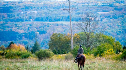 Thoroughbred Logic, Presented by Kentucky Performance Products: Spooky Season Tricks