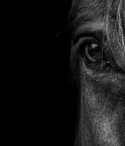 10 Things That Will Spook Riders This Halloween