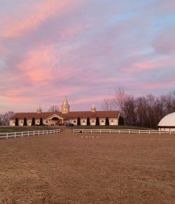 How Did No One Know? The Haunting Questions Behind the Pure Gold Stables Investigation