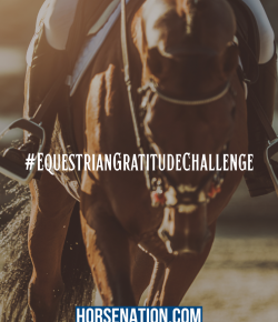 Introducing the #EquestrianGratitudeChallenge