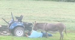 ‘Oh Crap’ Monday: Unsolicited Opinions