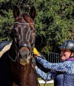 Training in the Right Way: Your Horse’s ‘Bad Days’ May Be a Training Opportunity