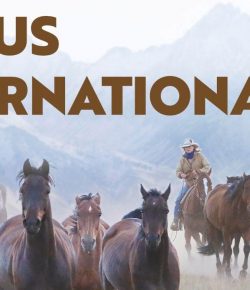 The Power of the Horse–Human Bond Shines at the 2025 EQUUS International Film Festival