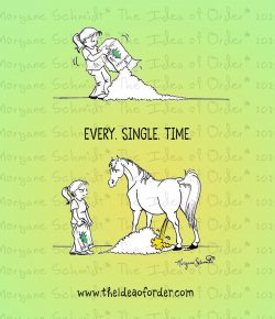 The Idea of Order: Law of Equine Consistency