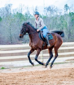 Thoroughbred Logic, Presented by Kentucky Performance Products: The “Survive-a-Ride”