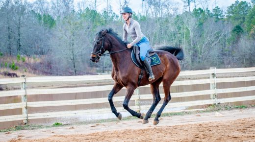 Thoroughbred Logic, Presented by Kentucky Performance Products: The “Survive-a-Ride”