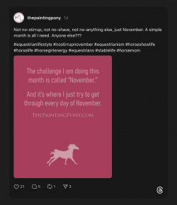 #NoStirrupNovember Social Media Round Up: Week 1