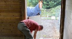 Reader Photo Challenge: Barn Chores