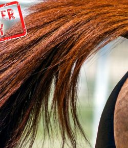 Mythbuster Monday: A Horse’s Tail Positioning Indicates Its Mood