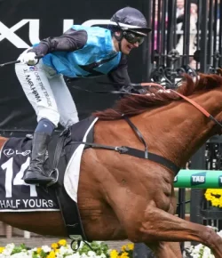 Melbourne Cup 2025: Jamie Melham Writes Her Name in the Record Books