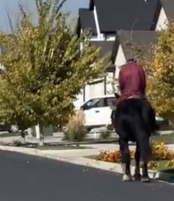 Tuesday Video: Scare the Kids