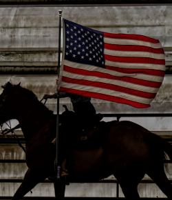 Honoring Those Who Served: A Veterans Day Tribute from Horse Nation