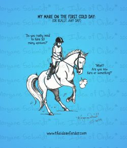 The Idea of Order: Opinions…