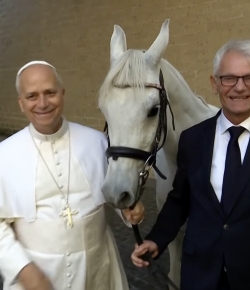 Thursday Video: A Hallowed Horse