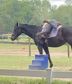 ‘Oh Crap’ Monday: Gravity Always Wins