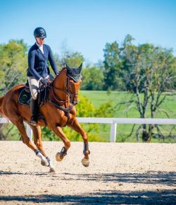 Thoroughbred Logic: Aboard a Dragon? Ride Into the Bend