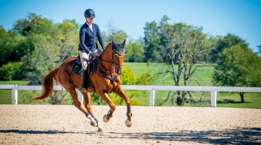 Thoroughbred Logic: Aboard a Dragon? Ride Into the Bend