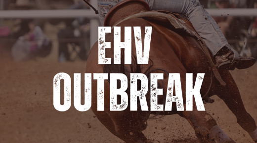 EHV-1 Outbreak Linked to Texas WPRA Event Prompts Multi-State Biosecurity Measures