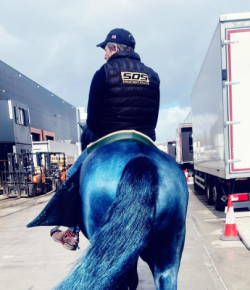 Jonathan Bailey and Sam Heughan Feud Over Stallion Named Jack