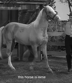 Thursday Video: Conveniently Lame