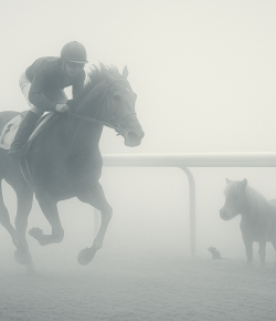 The Puddle Monster Ghost Case, Part II: A Pony Detective story