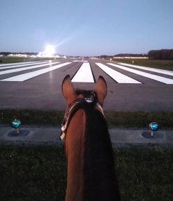 Reader Photo Challenge: Between the Ears