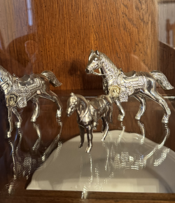 I Spy Horses: My Friend McKenzie’s