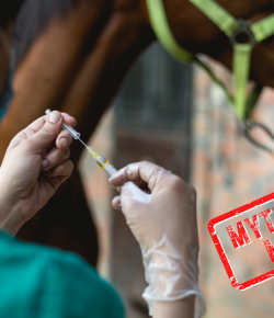 Mythbuster Monday: Vaccination Fully Protects Against Neuro EHV-1