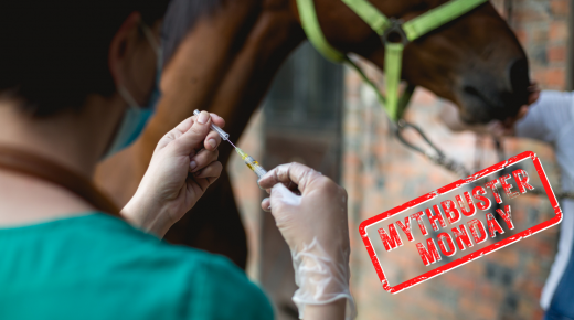 Mythbuster Monday: Vaccination Fully Protects Against Neuro EHV-1