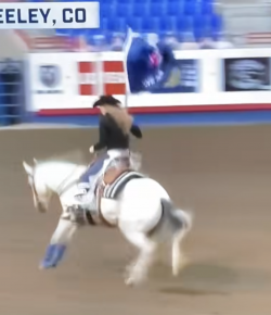 ‘Oh Crap’ Monday: Now THAT’S One Grand Entry