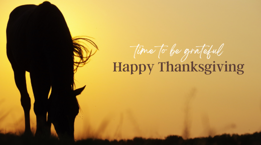 Horse Nation Gives Thanks