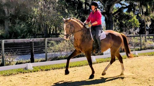 Training in the Right Way: Don’t Perpetuate Your Training Problems by Repeating Your Training  Problems…