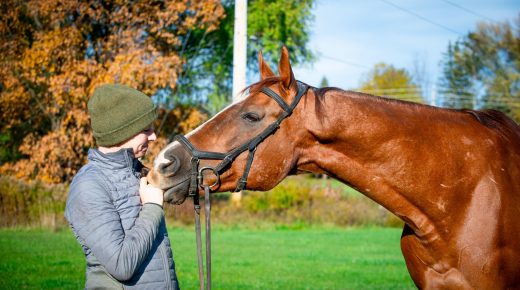 Hitting Pause on a Downward Spiral: How Stall 13 Is Rewriting the Story for Hard-to-Place Thoroughbreds