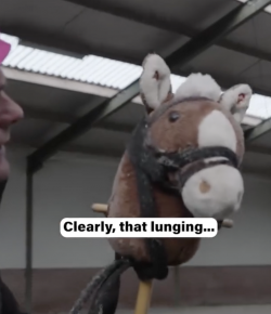 Tuesday Video: Lunging a Fresh Horse