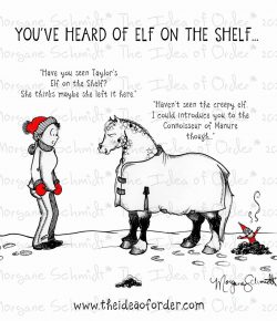 The Idea of Order: No One Needs an Elf on the Shelf Anyway…