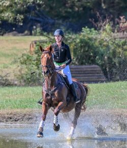 Thoroughbred Logic, Presented by Kentucky Performance Products: Why Rehomers Matter