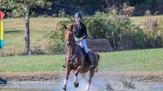 Thoroughbred Logic, Presented by Kentucky Performance Products: Why Rehomers Matter