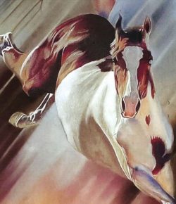 Equine Affaire 2025: A Celebration of Horses, Horsemanship, and Community