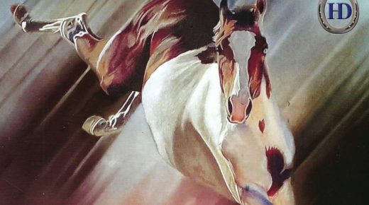 Equine Affaire 2025: A Celebration of Horses, Horsemanship, and Community