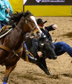 Wrangler National Finals Rodeo: Night Three Recap