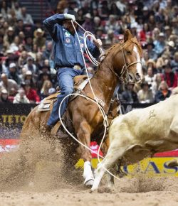 Wrangler National Finals Rodeo: Night Four Recap