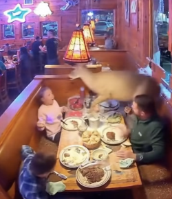 ‘Oh Crap’ Monday: This Is a Legendary Deer