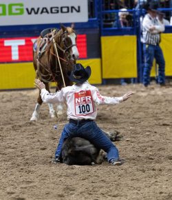 Wrangler National Finals Rodeo: Night Five Recap