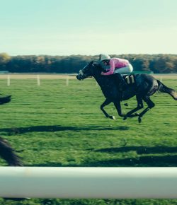Top Horse Racing Moments Of All Time