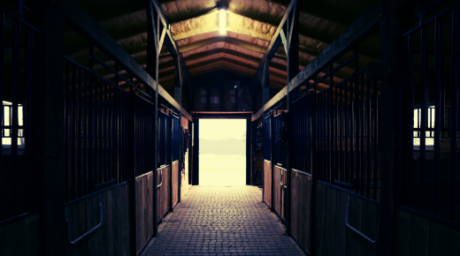 When “Everyone Knew”: The Horse World’s Culture of Silence