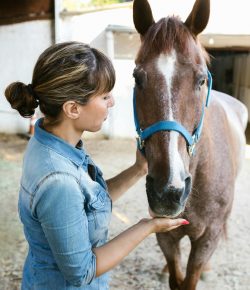 The Rising Costs of Horse Care: Why More Owners Are Turning to Veterinary Financing Options