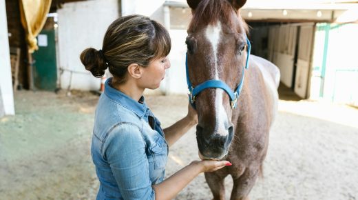 The Rising Costs of Horse Care: Why More Owners Are Turning to Veterinary Financing Options