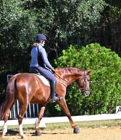 Training in the Right Way: Dressage Training Nuggets
